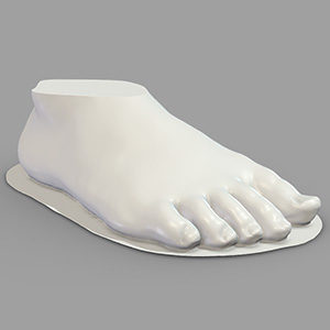Child Foot 3D Model