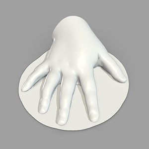 Child Hand 3D Model