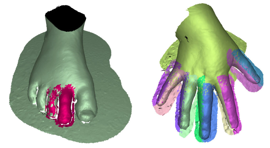 Two toes and Fingers Movement