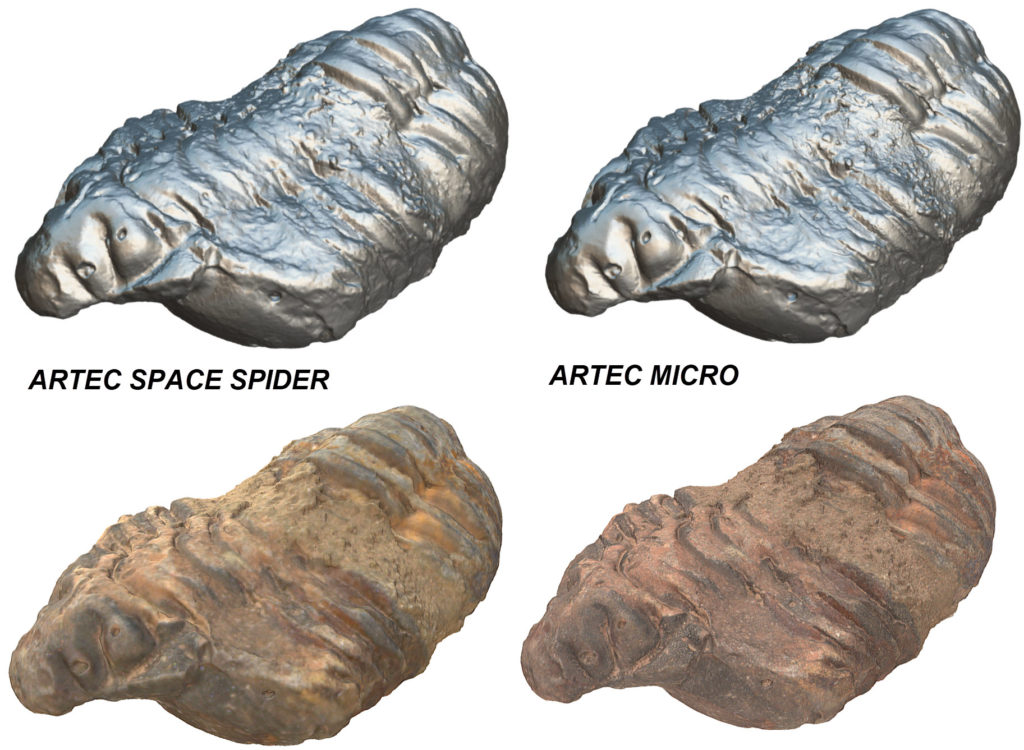 Artec Space Spider and Artec Micro Fossil Data Comparison